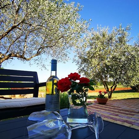 Apartment Ulika Marčana Εξωτερικό φωτογραφία